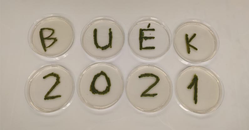 The unicellular algae are also wishing a successful 2021