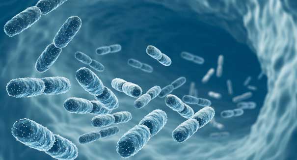 memo-biom-posztbiotikus-anyagok